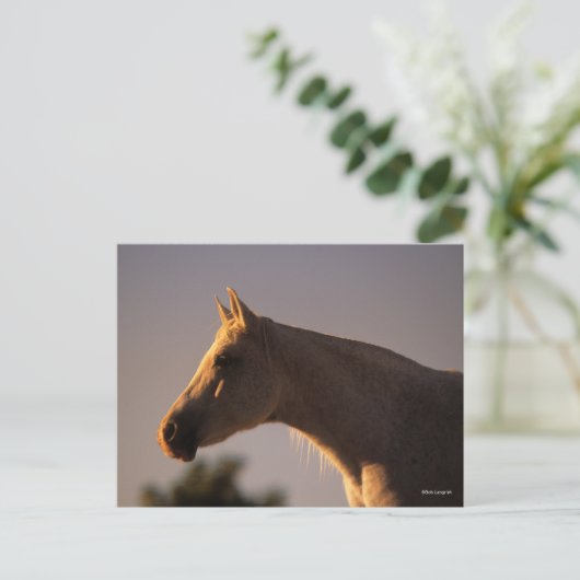 Bob Langrish | Grauer Stehender Backlit Headshot Postkarte (Stehend Vorderseite)