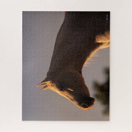 Bob Langrish | Grauer Stehender Backlit Headshot Puzzle (Vertikal)