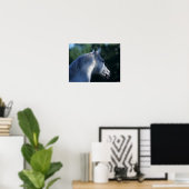 Bob Langrish | Grauer Trakehner-Stallion Headshot Poster (Heimbüro)