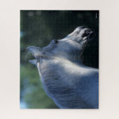 Bob Langrish | Grauer Trakehner-Stallion Headshot Puzzle (Vertikal)