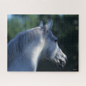 Bob Langrish | Grauer Trakehner-Stallion Headshot Puzzle (Horizontal)