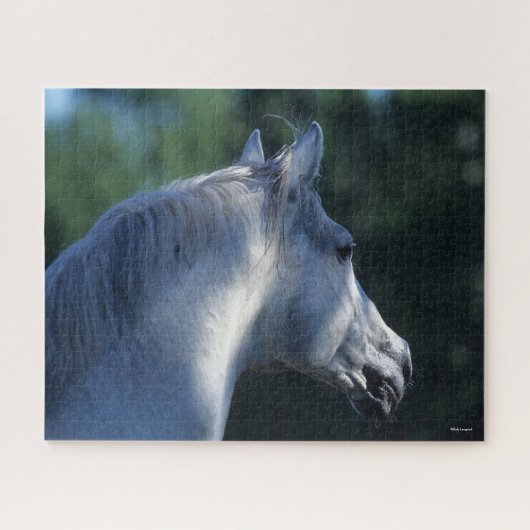 Bob Langrish | Grauer Trakehner-Stallion Headshot Puzzle (Horizontal)