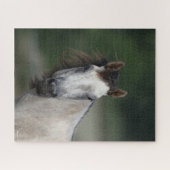 Bob Langrish | Grauer Viertelpferd Puzzle (Horizontal)