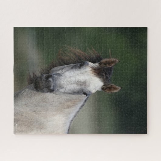 Bob Langrish | Grauer Viertelpferd Puzzle (Horizontal)