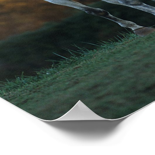 Bob Langrish | Grauer Warmblut Stehend Herbst Poster (Ecke)