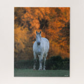 Bob Langrish | Grauer Warmblut Stehend Herbst Puzzle (Vertikal)