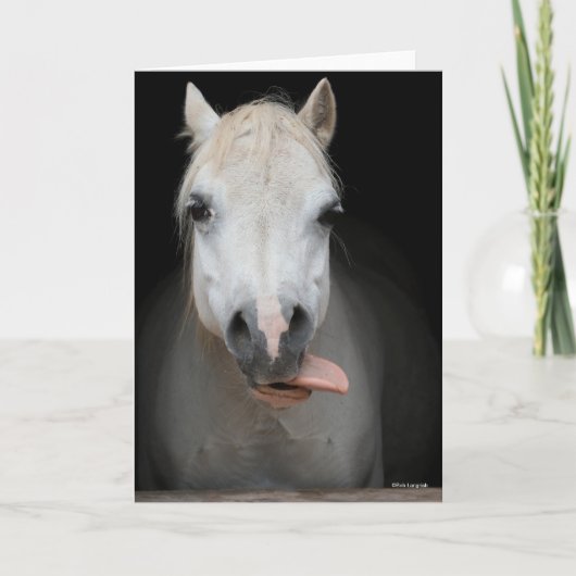Bob Langrish | Grauer Welsh Pony Tongue Out Headsh Karte (Vorderseite)