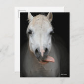 Bob Langrish | Grauer Welsh Pony Tongue Out Headsh Postkarte (Vorne/Hinten)