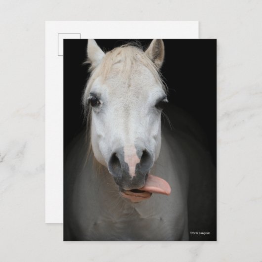 Bob Langrish | Grauer Welsh Pony Tongue Out Headsh Postkarte (Vorne/Hinten)