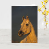 Bob Langrish | Graues arabisches Headshot in Sunse Karte (Gelbe Blume)