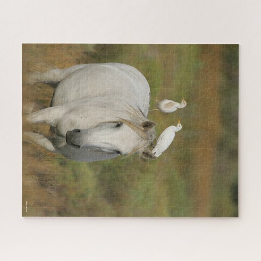 Bob Langrish | Graues Camargue-Pferd mit zwei Vöge Puzzle (Horizontal)