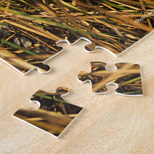 Bob Langrish | Graues Camargue Pony Lying in Reeds Puzzle (Seite)
