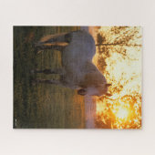 Bob Langrish | Graues Percheron Stehend im Sonnenu Puzzle (Horizontal)