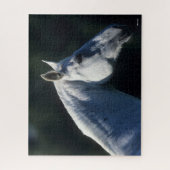 Bob Langrish | Graues Warmblut Stehender Headshot Puzzle (Vertikal)