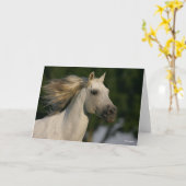 Bob Langrish Gray Andalucian Headshot Mane Flows Karte (Gelbe Blume)