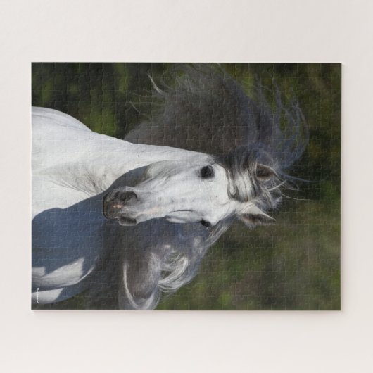 Bob Langrish Gray Andalucian Kopfschuss Mane Flows Puzzle (Horizontal)