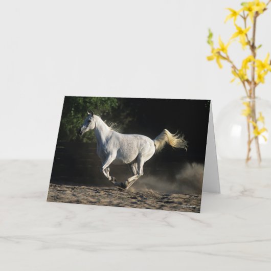 Bob Langrish | Gray Arab Mare Running Karte (Gelbe Blume)