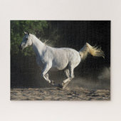 Bob Langrish | Gray Arab Mare Running Puzzle (Horizontal)