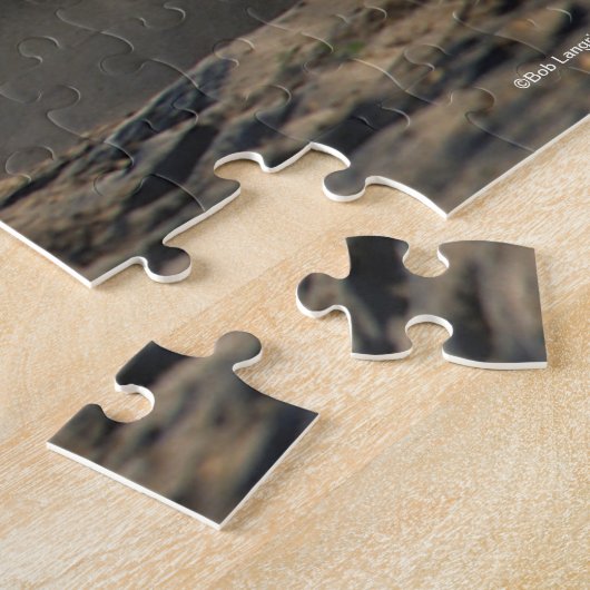 Bob Langrish | Gray Arab Mare Running Puzzle (Seite)