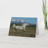 Bob Langrish Gray Arab Running Mountain Hintergrun Karte (Vorderseite)