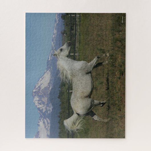 Bob Langrish Gray Arab Running Mountain Hintergrun Puzzle (Vertikal)