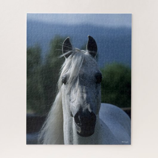 Bob Langrish Gray Arab Stallion Stehender Headshot Puzzle (Vertikal)