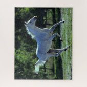Bob Langrish | Gray Thoroughbred Stallion Running Puzzle (Vertikal)