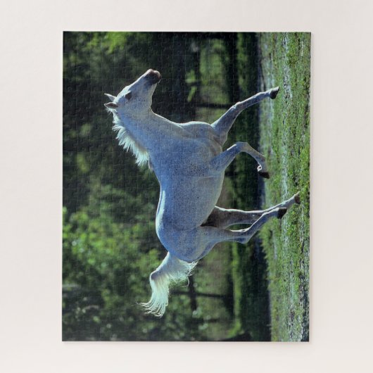 Bob Langrish | Gray Thoroughbred Stallion Running Puzzle (Vertikal)