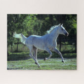 Bob Langrish | Gray Thoroughbred Stallion Running Puzzle (Horizontal)