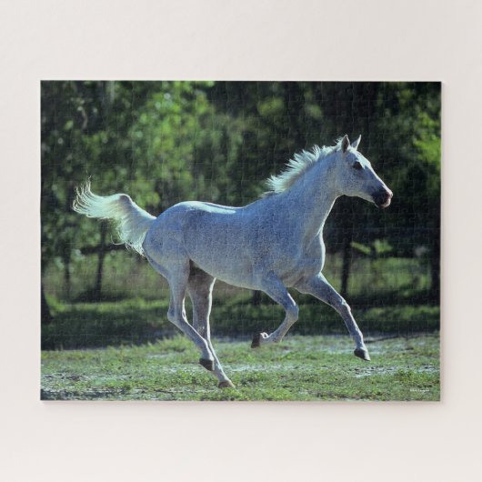 Bob Langrish | Gray Thoroughbred Stallion Running Puzzle (Horizontal)