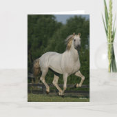 Bob Langrish | Grey Andalucian Running Karte (Vorderseite)