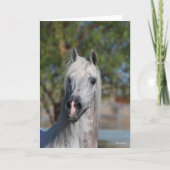 Bob Langrish | Grey Arab Stallion Headshot Karte (Vorderseite)