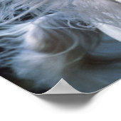 Bob Langrish | Grey Arab Stallion Headshot Poster (Ecke)