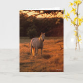 Bob Langrish | Grey Arab Standing at Sunset Karte (Gelbe Blume)