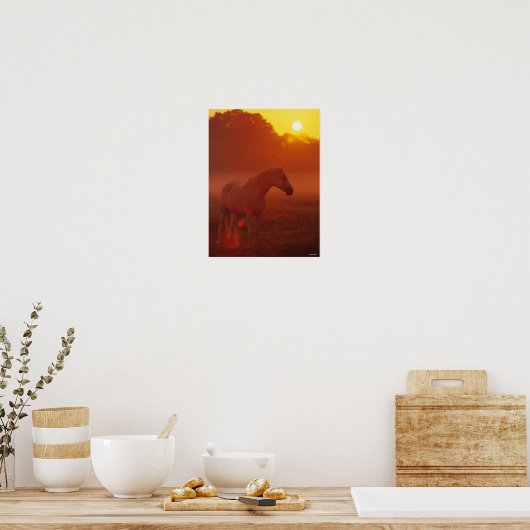 Bob Langrish | Grey Arab Standing at Sunset Poster (Küche)