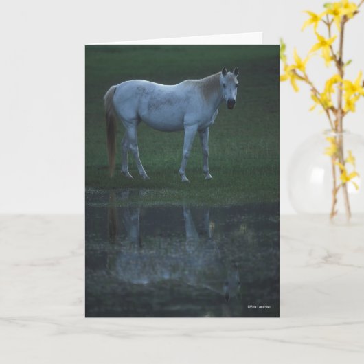 Bob Langrish Grey Arab Standing By Pond Reflection Karte (Gelbe Blume)