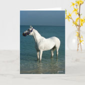 Bob Langrish | Grey Arab Standing In The Sea Karte (Gelbe Blume)