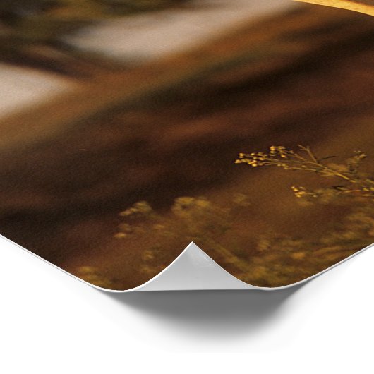 Bob Langrish | Grey Arab Standing Poster (Ecke)