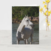 Bob Langrish | Grey Arab Standng in the Sea Karte (Gelbe Blume)