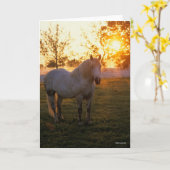 Bob Langrish | Grey Percheron Standing In Sunset Karte (Gelbe Blume)