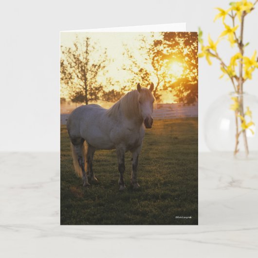 Bob Langrish | Grey Percheron Standing In Sunset Karte (Gelbe Blume)