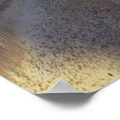 Bob Langrish | Grey Thoroughbred Stallion Headshot Poster (Ecke)