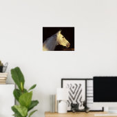 Bob Langrish | Grey Thoroughbred Stallion Headshot Poster (Heimbüro)