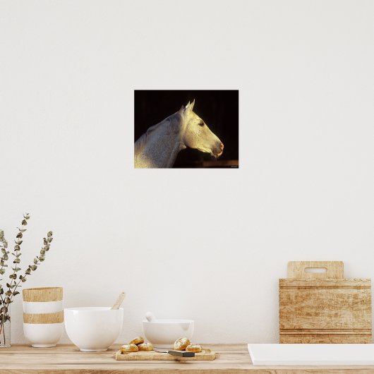 Bob Langrish | Grey Thoroughbred Stallion Headshot Poster (Küche)