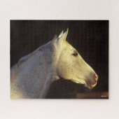 Bob Langrish | Grey Thoroughbred Stallion Headshot Puzzle (Horizontal)