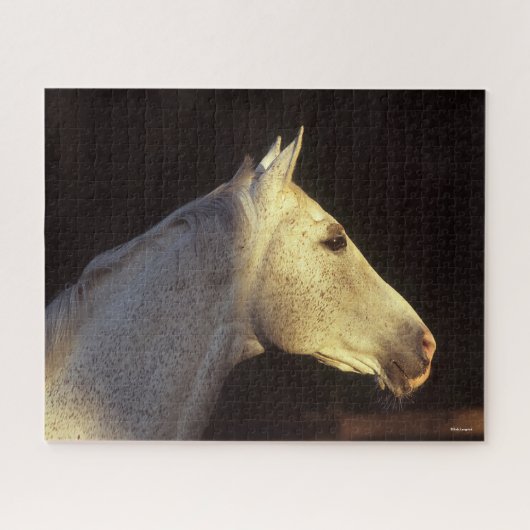 Bob Langrish | Grey Thoroughbred Stallion Headshot Puzzle (Horizontal)