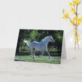 Bob Langrish | Grey Thoroughbred Stallion Running Karte (Gelbe Blume)