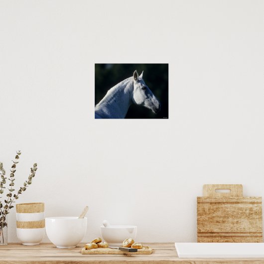 Bob Langrish | Grey Warmblood Standing Headshot Poster (Küche)