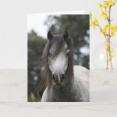 Bob Langrish | Grey Welsh Pony Headshot Karte (Gelbe Blume)