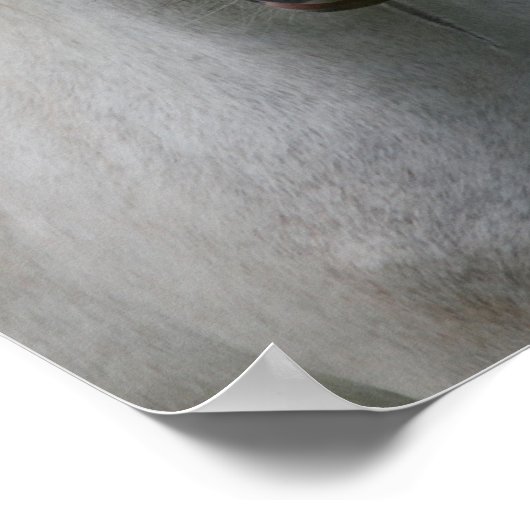 Bob Langrish | Grey Welsh Pony Headshot Poster (Ecke)